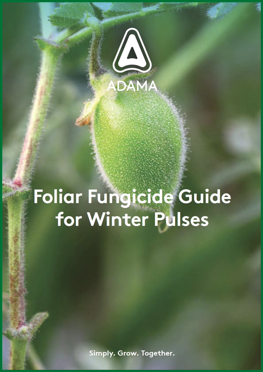 Adama Foliar Fungicide Guide Winter Pulses 